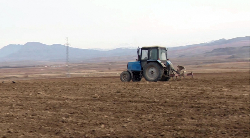 naxchivanda-1128-hektar-erazide-yazliq-ekinler-aparilib