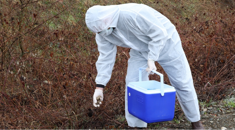 ishgaldan-azad-olunmush-erazilerde-quduzluga-qarshi-peyvendleme-tedbirleri-aparilib