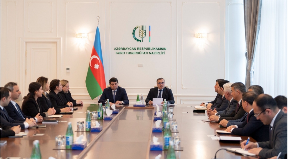 kend-teserrufati-nazirliyinde-yap-erazi-ilk-partiya-teshkilatina-yeni-sedr-ve-sedr-muavini-sechilib