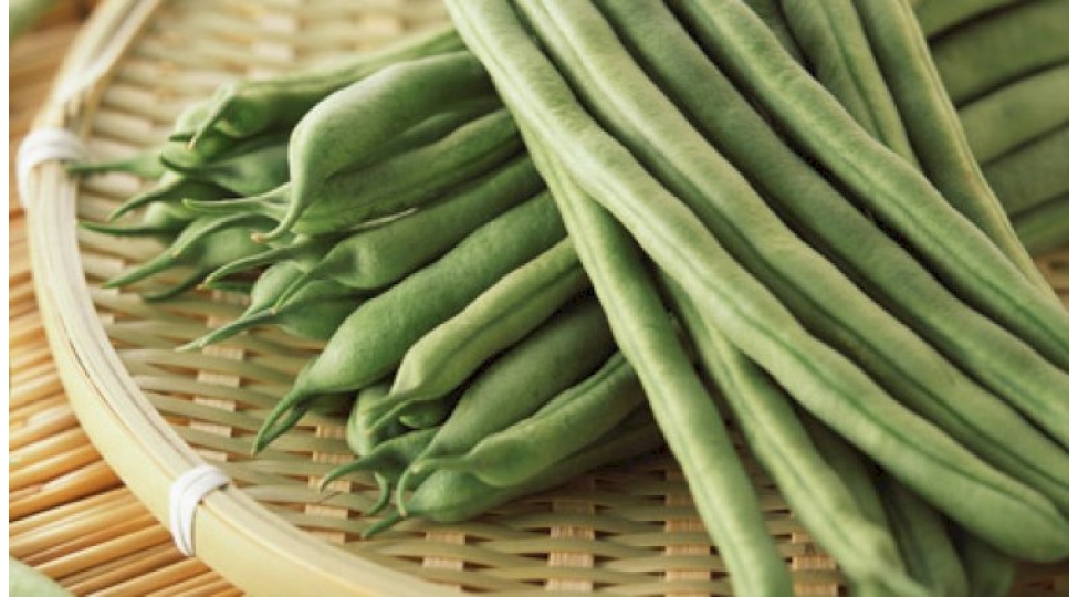 azerbaycan-argentinadan-lobya-tedarukunu-berpa-edib