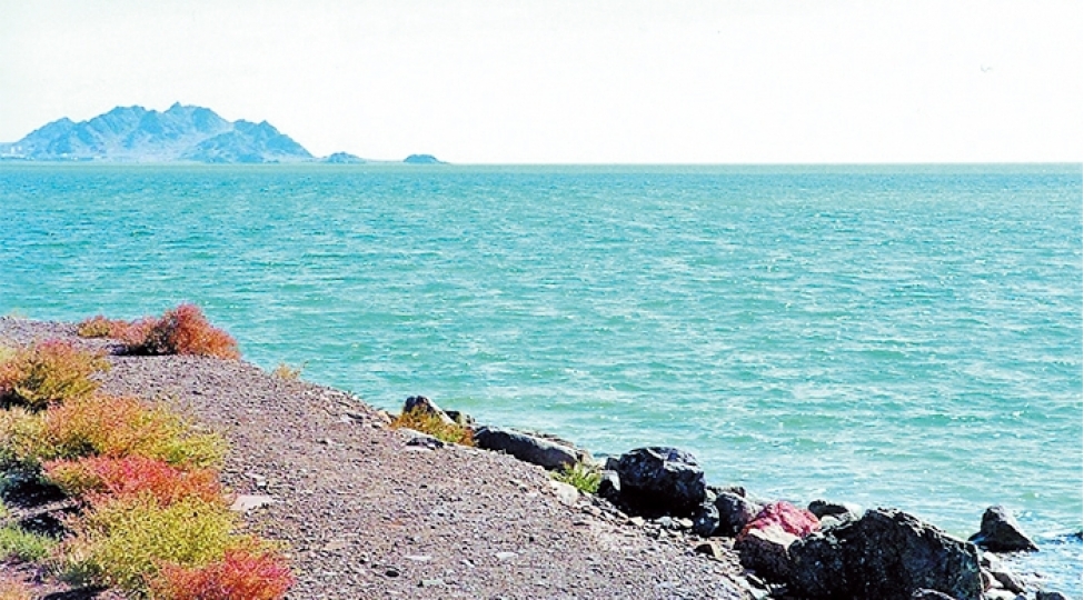 xezerin-ekoloji-problemlerinin-helli-uchun-yeni-layihe