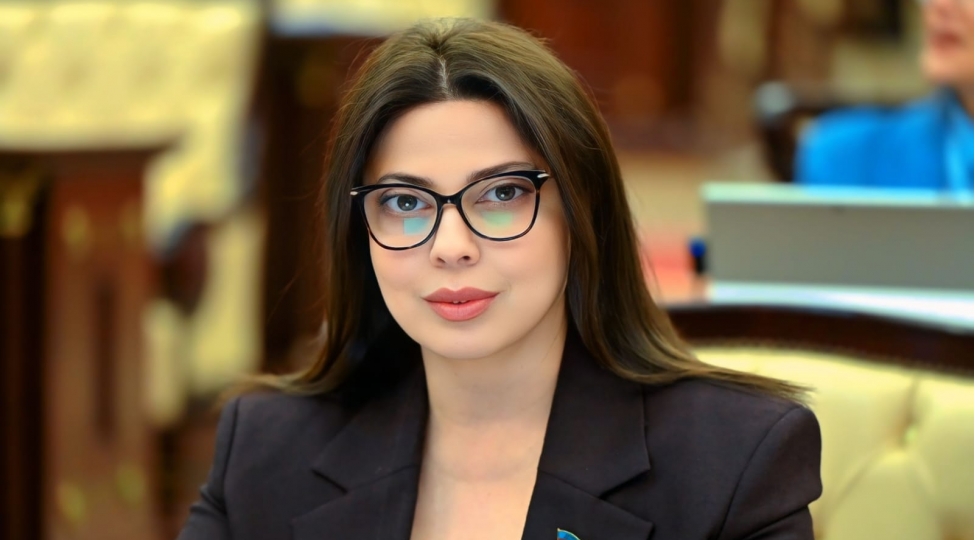 chexiya-ile-emekdashliq-azerbaycan-uchun-elave-imkanlar-yaradir