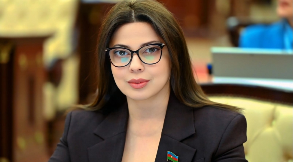 regionda-uzunmuddetli-sabitliyin-temin-olunmasi-uchun-mohkem-zemin-yaradilir
