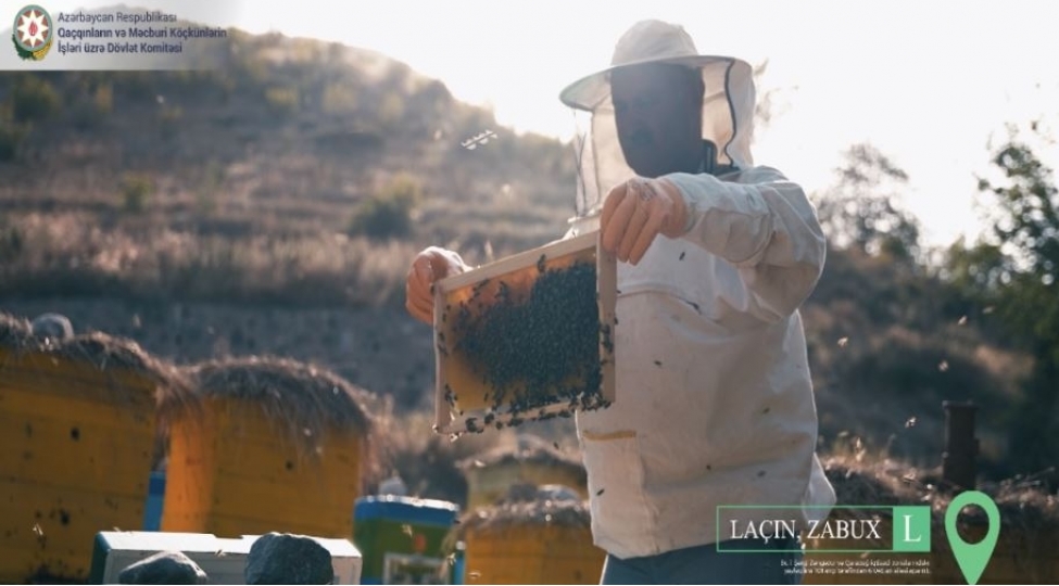 lachinda-arichiliq-yeniden-dircheldilir-video