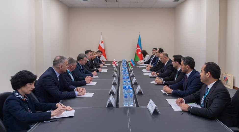 mecnun-memmedov-gurcustanin-etraf-muhitin-muhafizesi-ve-kend-teserrufati-naziri-ile-gorushub