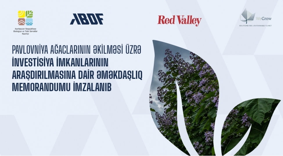 azerbaycanda-pavlovniya-agaclarinin-ekilmesi-uzre-investisiya-imkanlarinin-arashdirilmasina-dair-emekdashliq-memorandumu-imzalanib