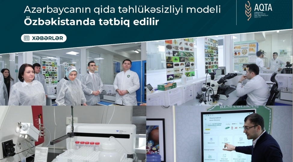 azerbaycanin-qida-tehlukesizliyi-modeli-ozbekistanda-tetbiq-edilir