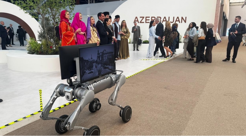 wuf13-un-3-cu-gununden-fotoreportaj
