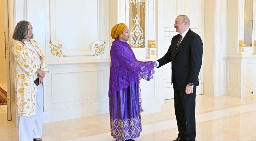 prezident-ilham-eliyev-bmt-bash-katibinin-muavinini-qebul-edib-3