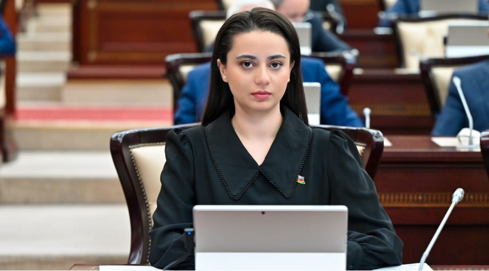dovletchiliyin-mohkemlendirilmesine-xidmet-eden-tedbir-kechirildi
