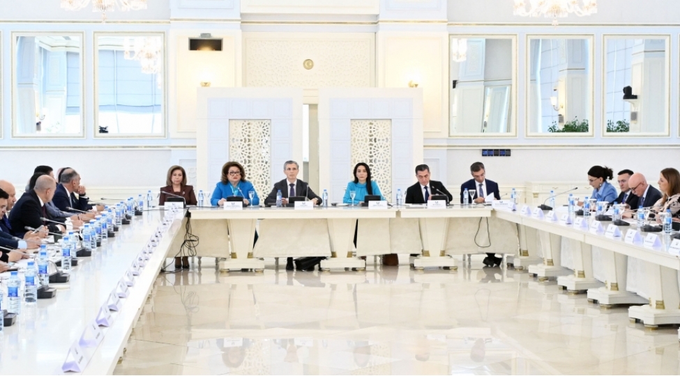 reqemsal-muhitde-ushaqlarin-huquq-ve-menafelerinin-qorunmasi-meqsedile-qanun-layihesi-hazirlanib