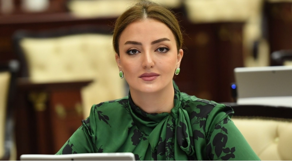 reqemsal-inkishaf-dovlet-siyasetinin-esas-prioriteti-kimi