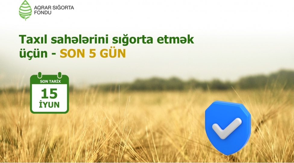 yazliq-taxil-sahelerinin-sigortalanmasi-muddeti-iyunun-15-de-basha-chatir