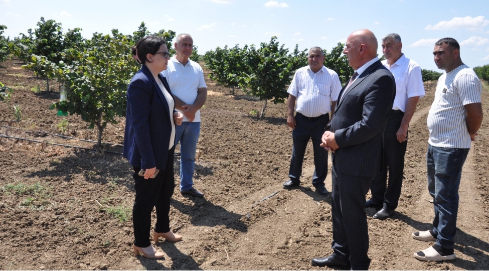 ilhame-qedimova-bilesuvarda-vetendashlari-qebul-edib-teserrufatlara-bash-chekib
