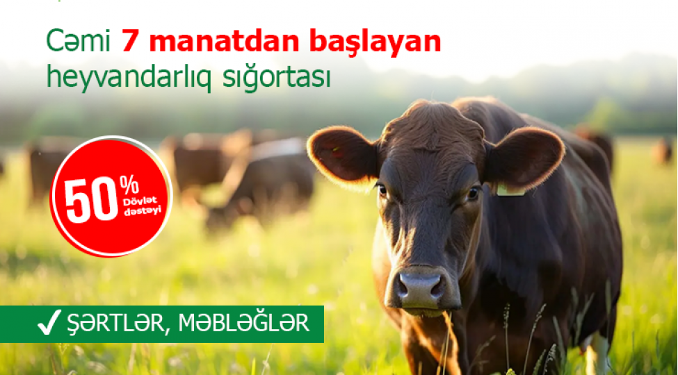 cemi-7-manatdan-bashlayan-heyvandarliq-sigortasi-shertlermeblegler