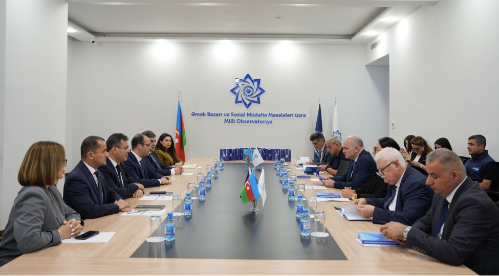 milli-observatoriya-terefinden-emek-bazari-uzre-terminlerin-izahli-lugetinin-teqdimati-olub