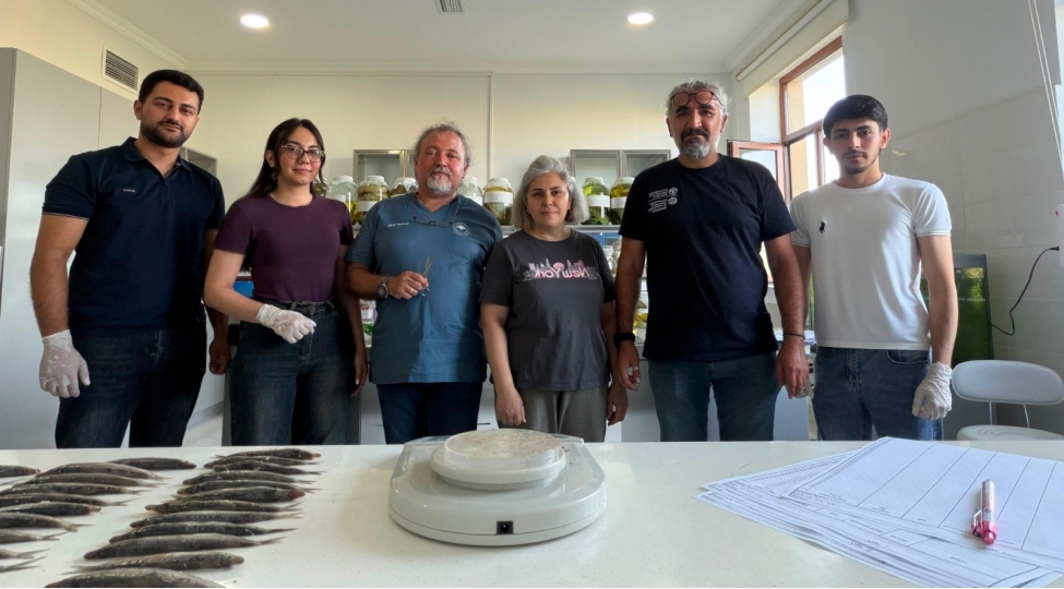 xezer-denizinde-baliq-ehtiyatlarinin-elmi-esaslarla-oyrenilmesi-meqsedile-laborator-tehlillere-bashlanib