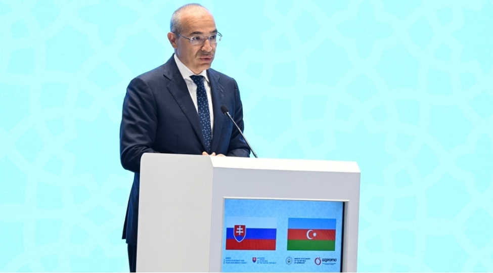 mikayil-cabbarov-azerbaycanla-slovakiyanin-emekdashliginin-inkishafi-uchun-daha-boyuk-potensial-movcuddur