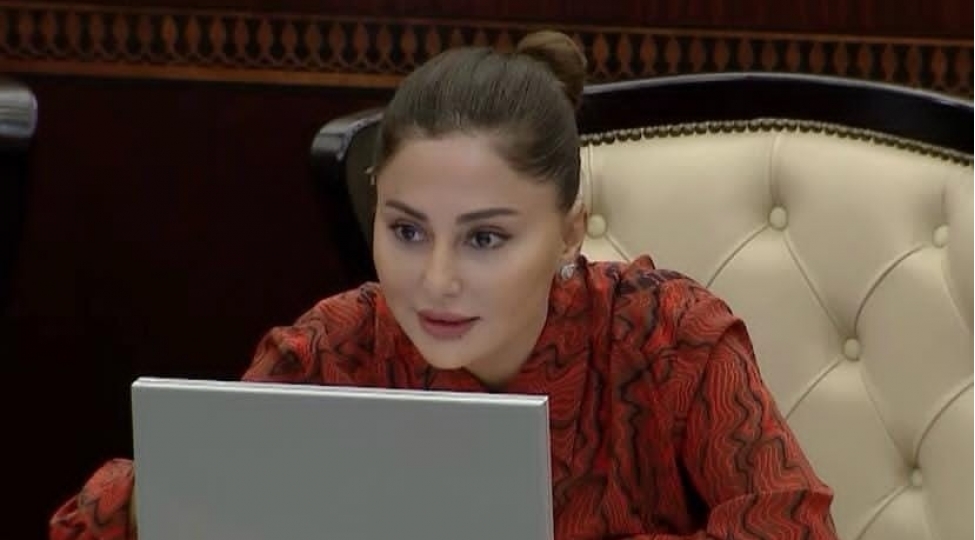 milli-metbuat-gunu-milli-sozun-ve-azad-fikrin-sherefli-yolu