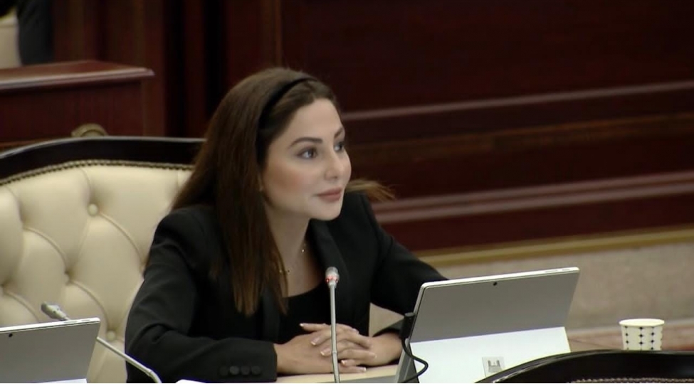 azerbaycanalmaniya-munasibetlerinde-yeni-inkishaf-merhelesi