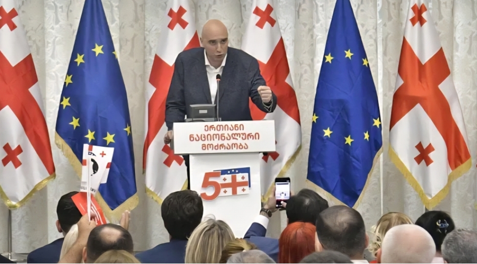 gurcustanin-esas-muxalifet-partiyasinda-sedr-postu-legv-edilib-yeni-idareetme-modeli-yaradilib