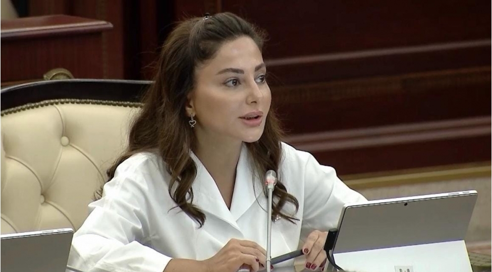 vashinqton-zirvesi-cenubi-qafqazda-yeni-siyasi-realliq