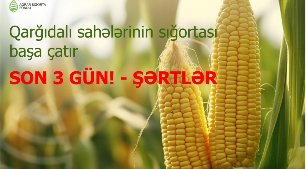 qargidali-sahelerinin-sigortasi-basha-chatir