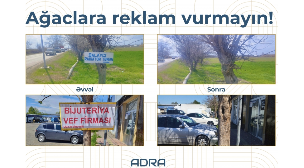 adra-agaclarin-uzerine-vurulmush-yuzlerle-reklam-qurgusunu-demontaj-edib-fotolar