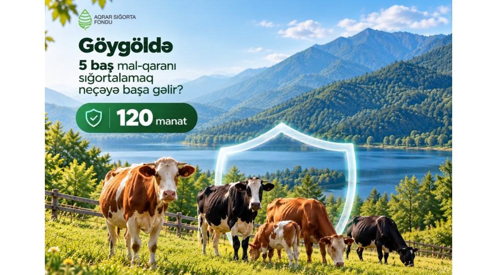 mal-qaranin-sigortalanmasi-fermerleri-gozlenilmez-maliyye-itkilerinden-qoruyur