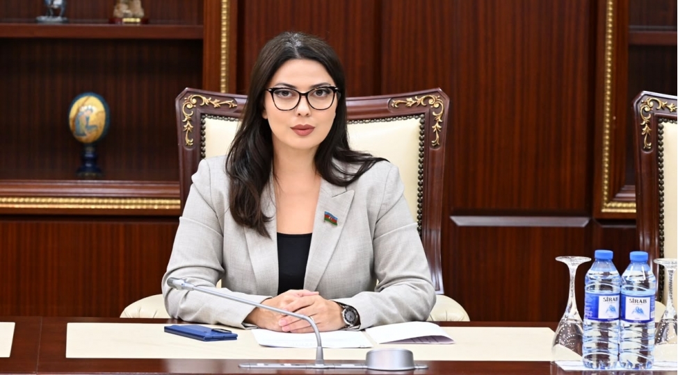 sebine-salmanova-yad-tesirlerin-cemiyyetimizde-parchalanma-yaratmasina-imkan-vermemeliyik