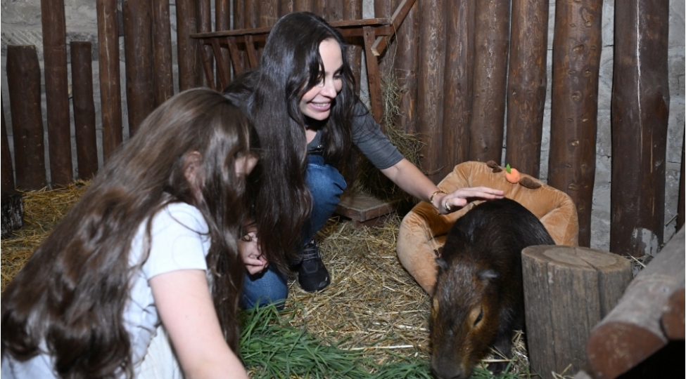 leyla-eliyeva-shamaxida-capybara-azerbaijan-fermasinda-olub