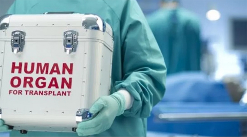 urek-transplantasiyasinin-icbari-tibbi-sigorta-hesabina-icra-edilmesi-teklif-olunub